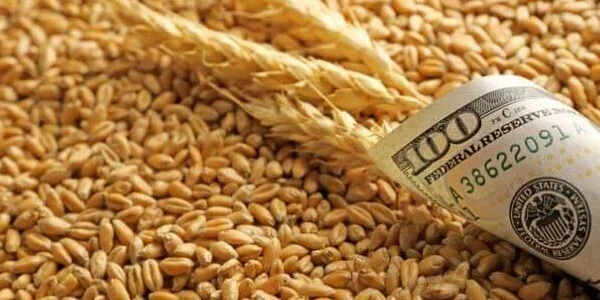Україна за 18 днів серпня експортувала 900 тис. тонн агропродукції