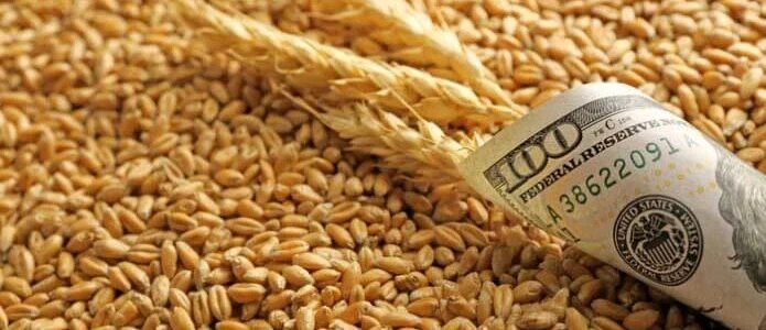 Україна за 18 днів серпня експортувала 900 тис. тонн агропродукції