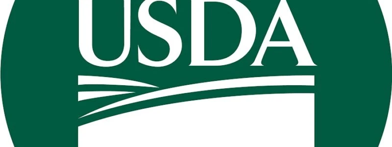 USDA залишила без змін прогноз урожаю кукурудзи в Україні — 31,8 млн тонн